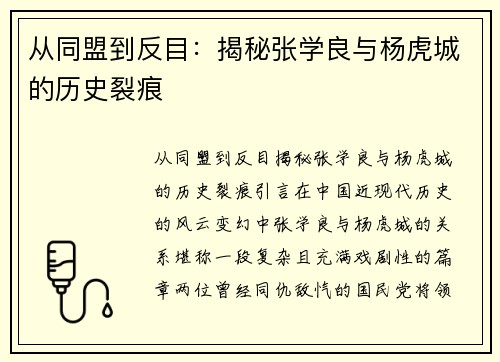 从同盟到反目：揭秘张学良与杨虎城的历史裂痕