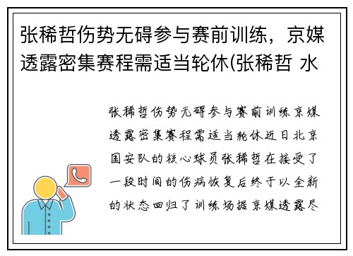 张稀哲伤势无碍参与赛前训练，京媒透露密集赛程需适当轮休(张稀哲 水平)